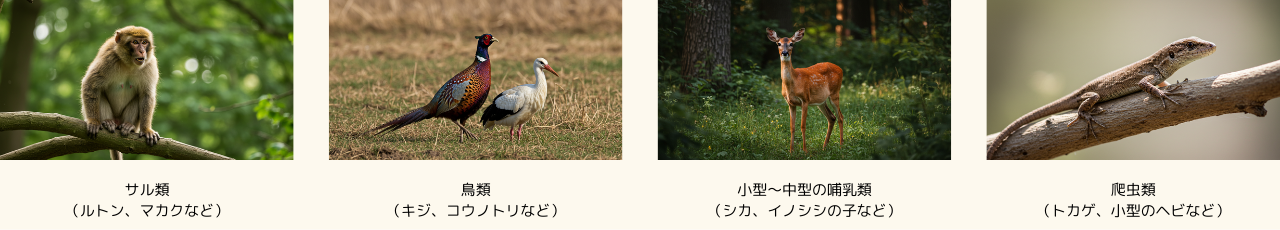 ウンピョウ(雲豹)の主な獲物